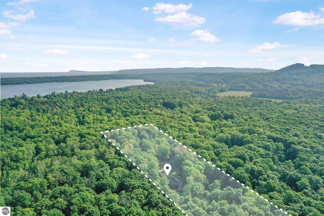 405 E Shetland Trl, Cedar, MI 49621 - aerial view of property's location featuring a water and mountain view and property parcel outlined
