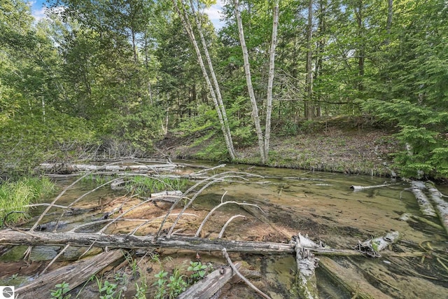 405 E Shetland Trl, Cedar, MI 49621 - view of nature