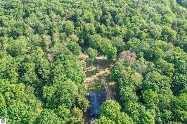405 E Shetland Trl, Cedar, MI 49621 - aerial view of property's location featuring a heavily wooded area