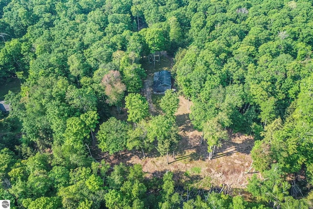 405 E Shetland Trl, Cedar, MI 49621 - aerial view of property and surrounding area