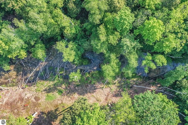 405 E Shetland Trl, Cedar, MI 49621 - drone / aerial view