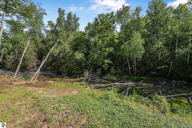 405 E Shetland Trl, Cedar, MI 49621 - view of yard