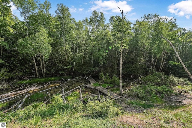 405 E Shetland Trl, Cedar, MI 49621 - view of nature