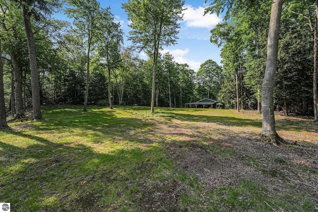 405 E Shetland Trl, Cedar, MI 49621 - view of grassy yard with a forest view