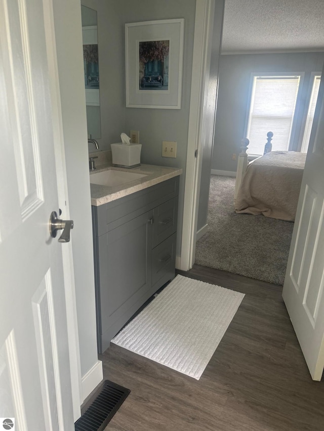 5819 Indian Ln, Weidman, MI 48893 - ensuite bathroom featuring vanity, wood finished floors, and a textured ceiling