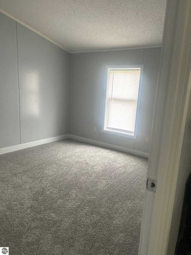 5819 Indian Ln, Weidman, MI 48893 - carpeted empty room featuring a textured ceiling and crown molding