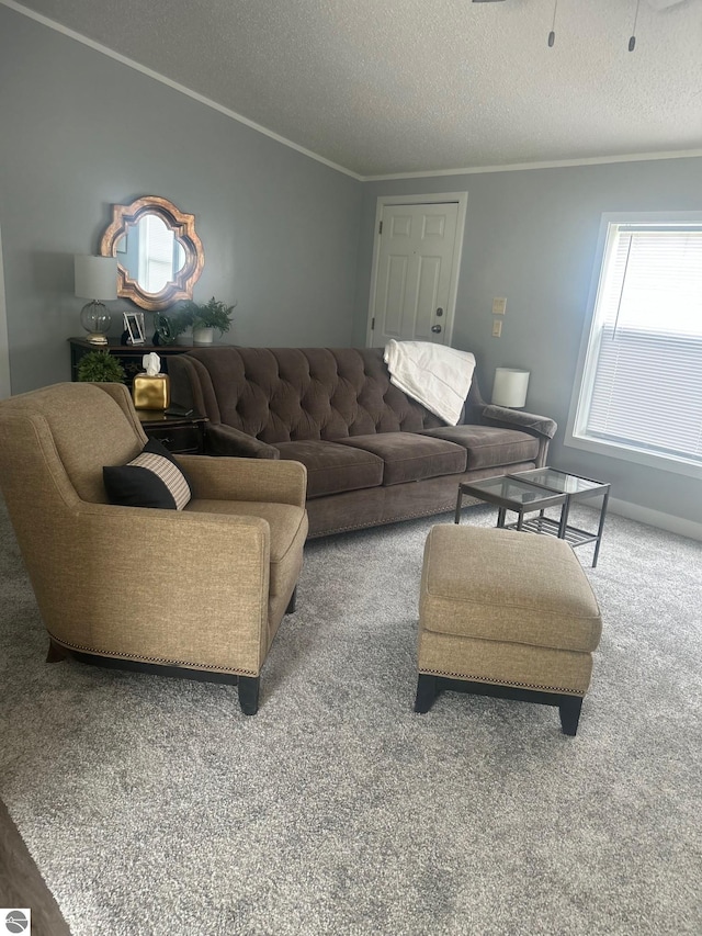 5819 Indian Ln, Weidman, MI 48893 - carpeted living room with crown molding and a textured ceiling