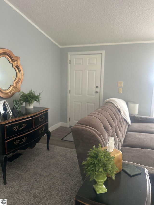 5819 Indian Ln, Weidman, MI 48893 - carpeted living room with a textured ceiling and crown molding