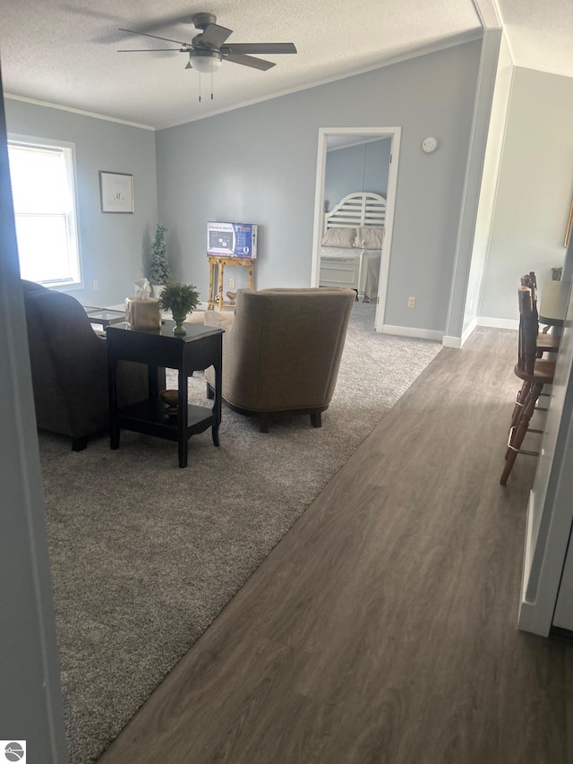 5819 Indian Ln, Weidman, MI 48893 - living area with wood finished floors, a textured ceiling, and ceiling fan