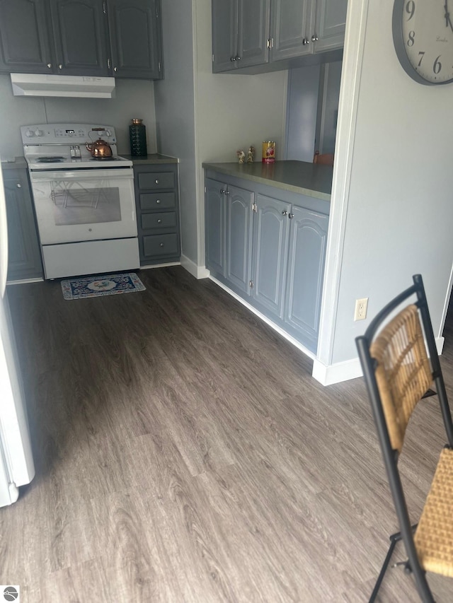 5819 Indian Ln, Weidman, MI 48893 - kitchen with electric range, under cabinet range hood, and dark wood finished floors