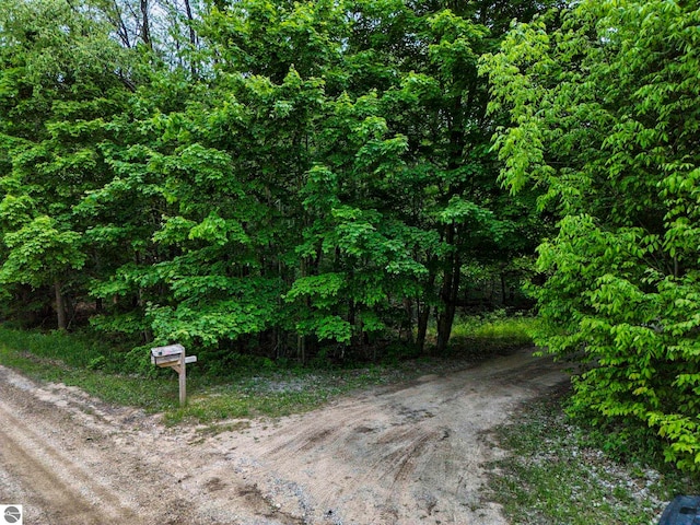 3721 W 18th Rd, Mesick, MI 49668 - view of road featuring a forest view
