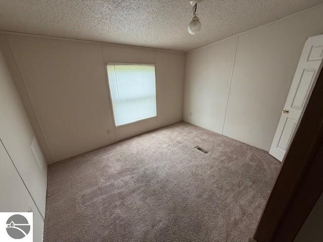 7372 Clans St, Alma, MI 48801 - unfurnished room with carpet flooring and a textured ceiling