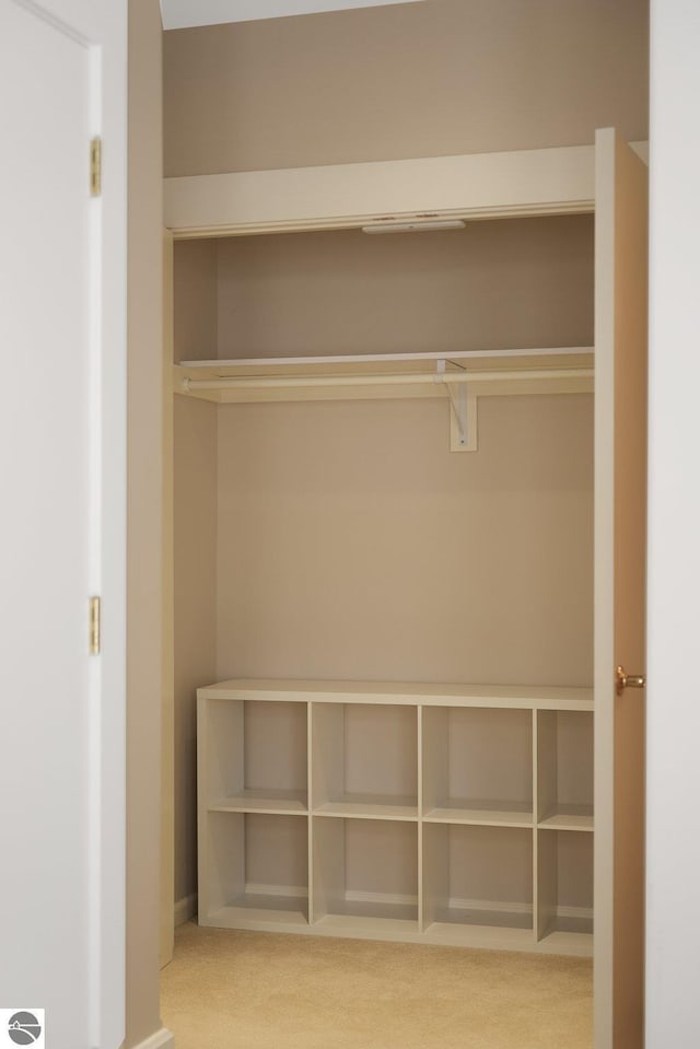 141 Rivers Edge Dr Unit 310, Traverse City, MI 49684 - view of closet
