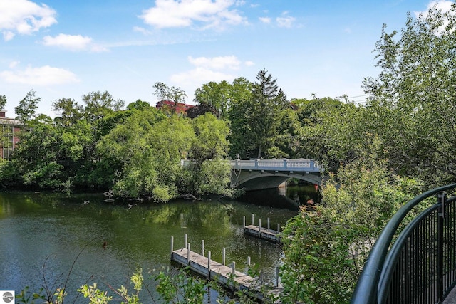 141 Rivers Edge Dr Unit 310, Traverse City, MI 49684 - water view with a dock