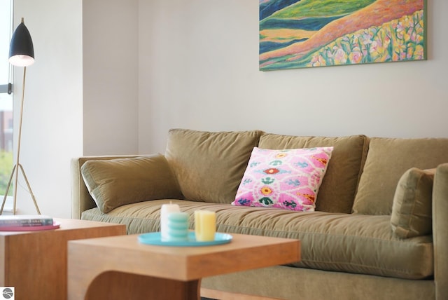 141 Rivers Edge Dr Unit 310, Traverse City, MI 49684 - view of living room