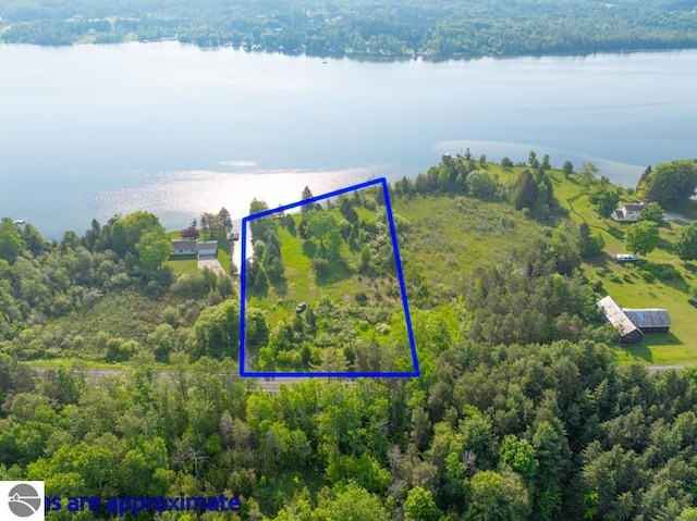 1851 S Lake Shore Dr, Lake Leelanau, MI 49653