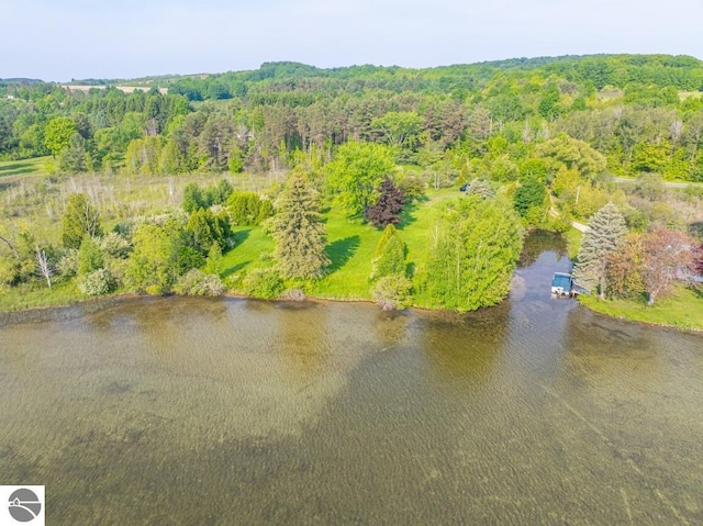 1851 S Lake Shore Dr, Lake Leelanau, MI 49653