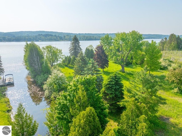 1851 S Lake Shore Dr, Lake Leelanau, MI 49653