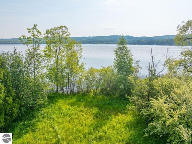 1851 S Lake Shore Dr, Lake Leelanau, MI 49653