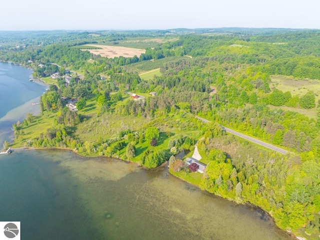 1851 S Lake Shore Dr, Lake Leelanau, MI 49653