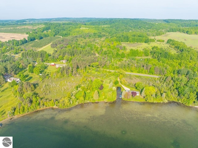 1851 S Lake Shore Dr, Lake Leelanau, MI 49653