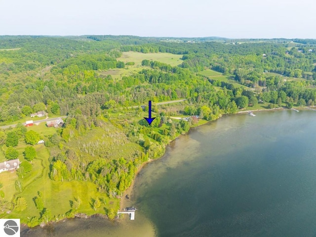 1851 S Lake Shore Dr, Lake Leelanau, MI 49653