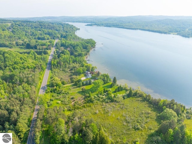 1851 S Lake Shore Dr, Lake Leelanau, MI 49653