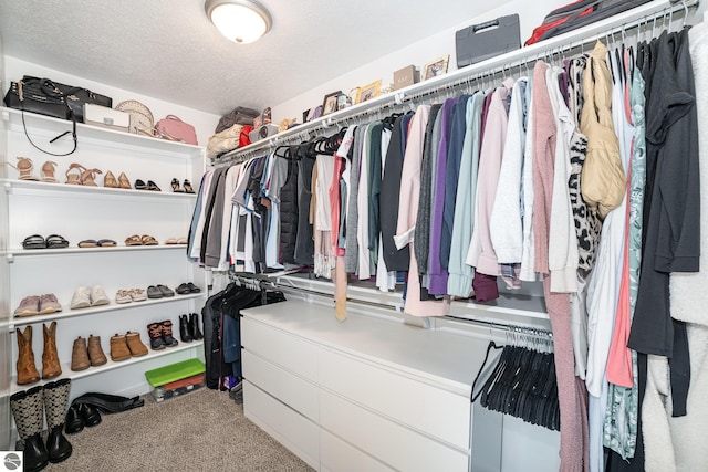 3468 Kali Ln, Alma, MI 48801 - spacious closet featuring carpet