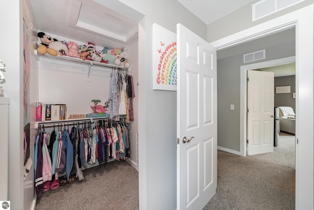 3468 Kali Ln, Alma, MI 48801 - view of closet