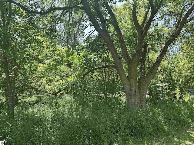 1339 S Melita Rd, Sterling, MI 48659 - view of wooded area