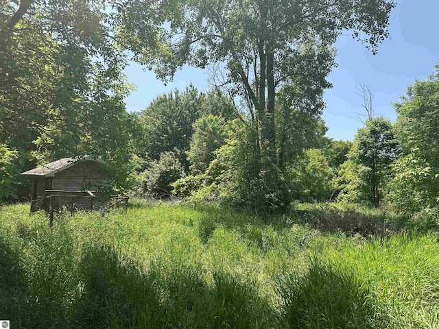 1339 S Melita Rd, Sterling, MI 48659 - view of woods