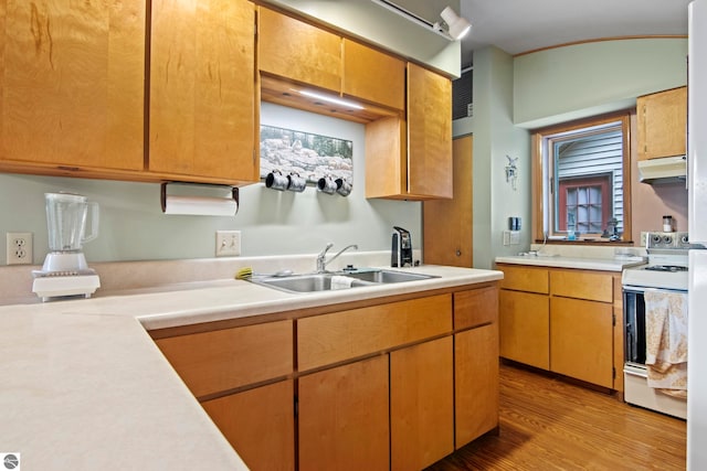9420 E Traverse Hwy, Traverse City, MI 49684 - kitchen featuring white electric stove, under cabinet range hood, light countertops, and light wood finished floors