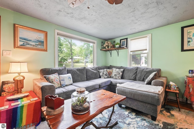 821 Indian Trail Blvd, Traverse City, MI 49686 - living area featuring plenty of natural light, a textured ceiling, and wood finished floors
