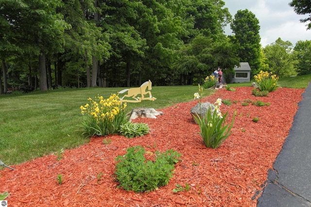 8124 Crisp Rd, Williamsburg, MI 49690 - view of green lawn
