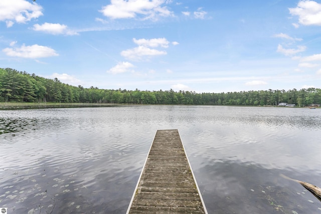 4180 Pintail Dr, Traverse City, MI 49696 - dock area featuring a view of trees and a water view