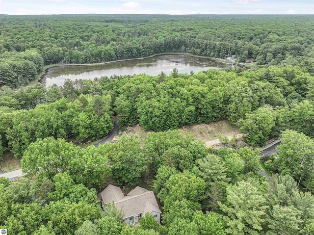 4180 Pintail Dr, Traverse City, MI 49696 - aerial view of a heavily wooded area and a large body of water