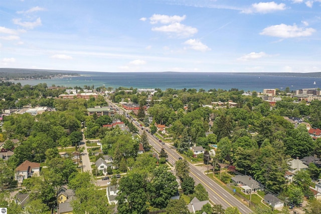 701 Sixth St, Traverse City, MI 49684 - aerial view of a tree filled landscape and a large body of water