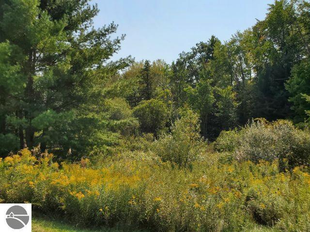 5736 Greenwood Rd, Gladwin, MI 48624 - view of wooded area