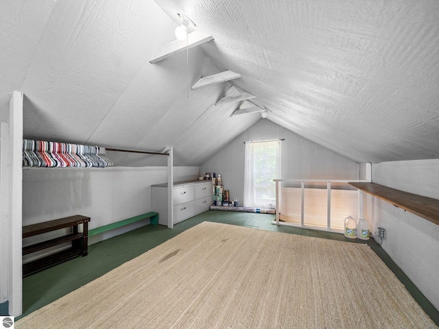 10090 E 48th Rd, Cadillac, MI 49601 - bonus room featuring lofted ceiling and carpet floors
