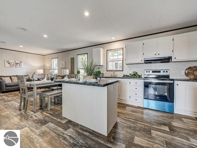 11399 Union St, Fife Lake, MI 49633 - kitchen with stainless steel electric stove, under cabinet range hood, open floor plan, healthy amount of natural light, and recessed lighting