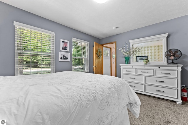 2491 Holland Cir, Traverse City, MI 49685 - bedroom featuring carpet floors