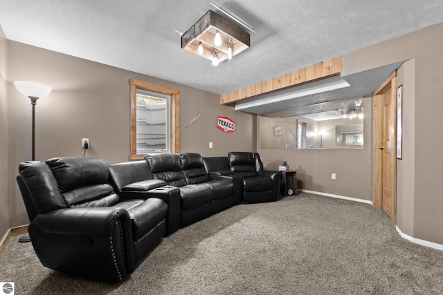 2491 Holland Cir, Traverse City, MI 49685 - carpeted home theater with baseboards and a textured ceiling
