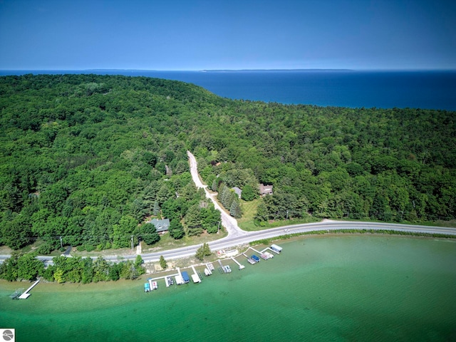 4079 E Oxford Dr, Leland, MI 49654 - aerial view of a forest and a nearby body of water