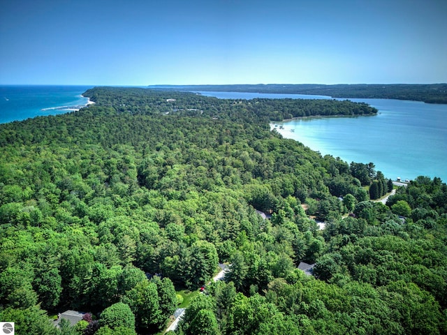 4079 E Oxford Dr, Leland, MI 49654 - bird's eye view of a forest and a nearby body of water