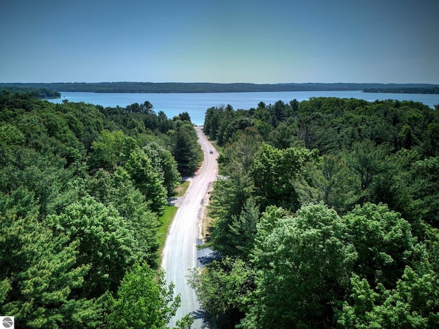 4079 E Oxford Dr, Leland, MI 49654 - drone / aerial view of a large body of water