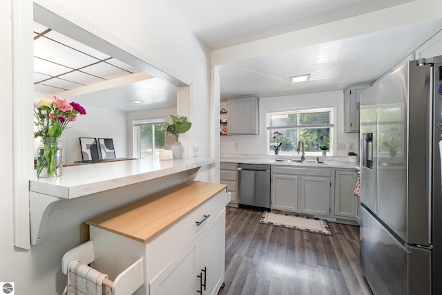 503 N Kinney Ave, Mount Pleasant, MI 48858 - kitchen featuring appliances with stainless steel finishes, light countertops, plenty of natural light, and dark wood-style flooring