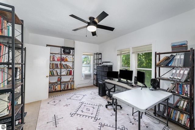 503 N Kinney Ave, Mount Pleasant, MI 48858 - office space with ceiling fan and cooling unit