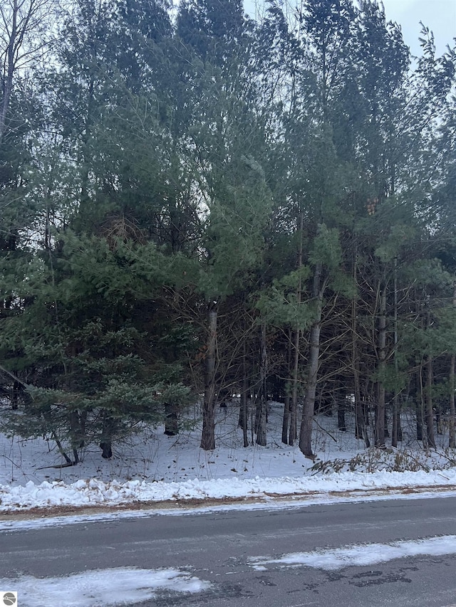 V/L Radov Rd, Gladwin, MI 48624