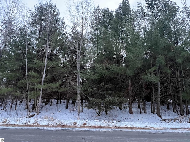 V/L Radov Rd, Gladwin, MI 48624