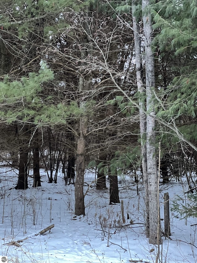 V/L Radov Rd, Gladwin, MI 48624
